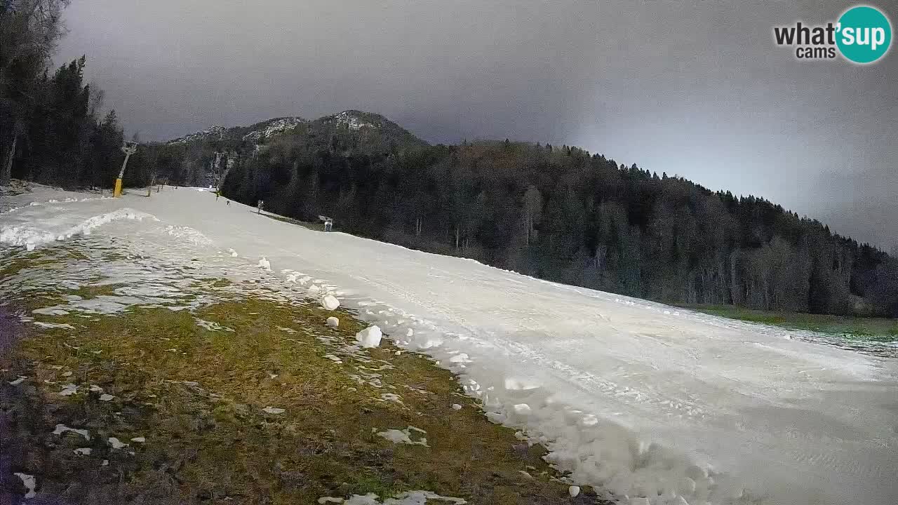 RTC Skigebiet Kranjska Gora | Brsnina