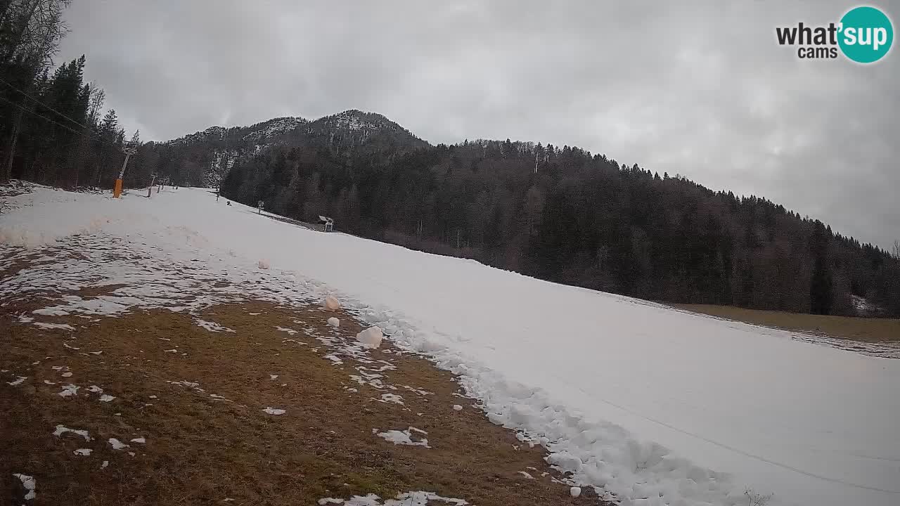 RTC Skigebiet Kranjska Gora | Brsnina