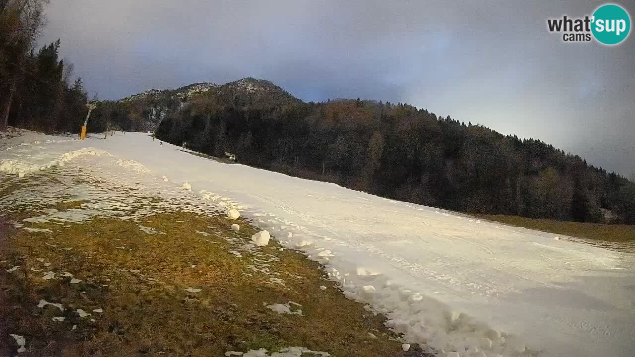 RTC Skigebiet Kranjska Gora | Brsnina