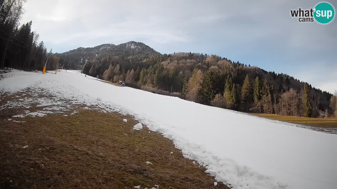 RTC Kranjska Gora | Brsnina