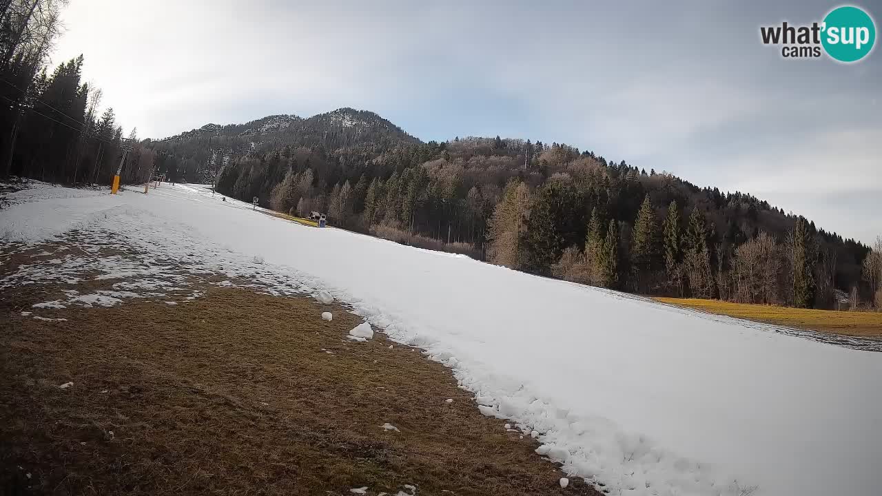 Ski Kranjska Gora | Brsnina