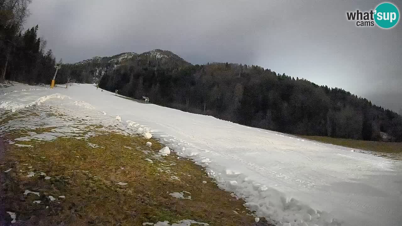 Kranjska Gora SKIJANJE | Brsnina