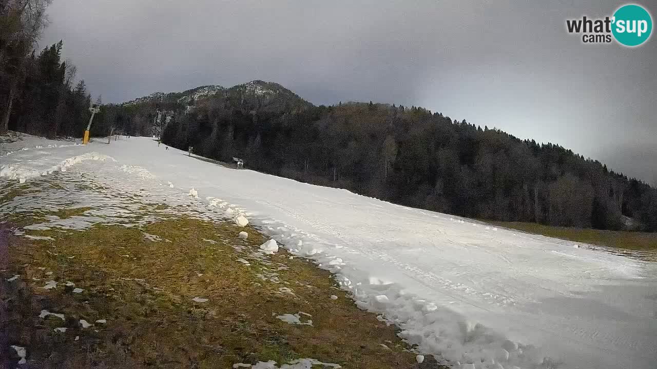 Kranjska Gora SKIJANJE | Brsnina