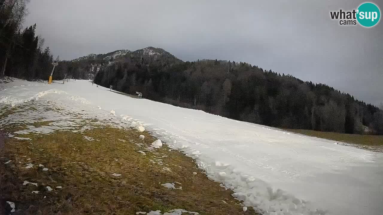 Kranjska Gora SKIJANJE | Brsnina