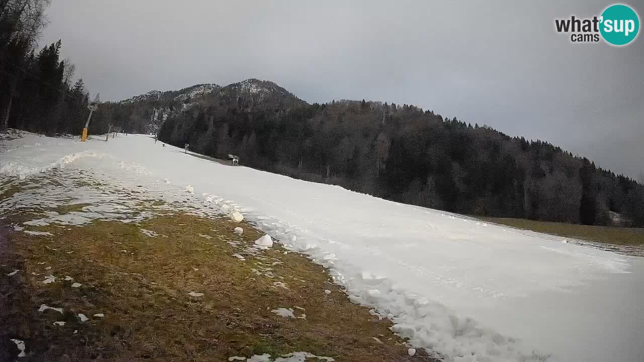 RTC Kranjska Gora | Brsnina
