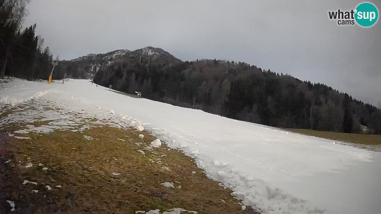 Ski Kranjska Gora | Brsnina