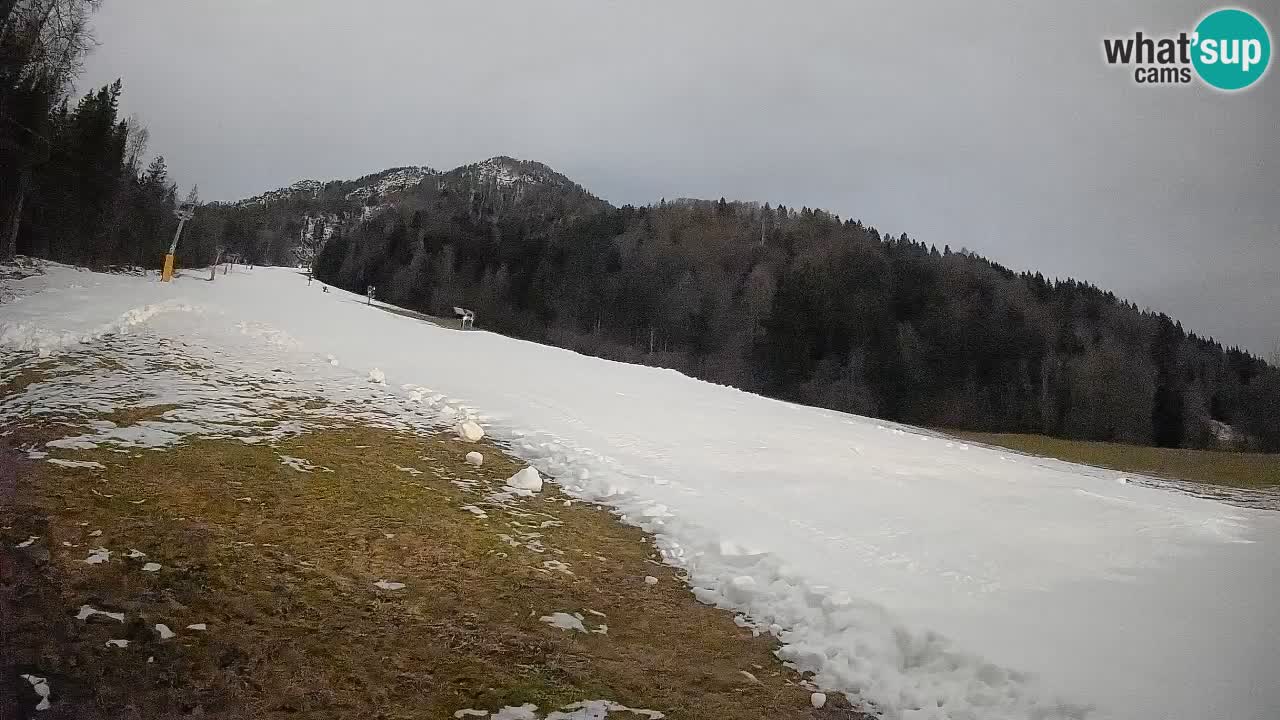 Ski Kranjska Gora | Brsnina