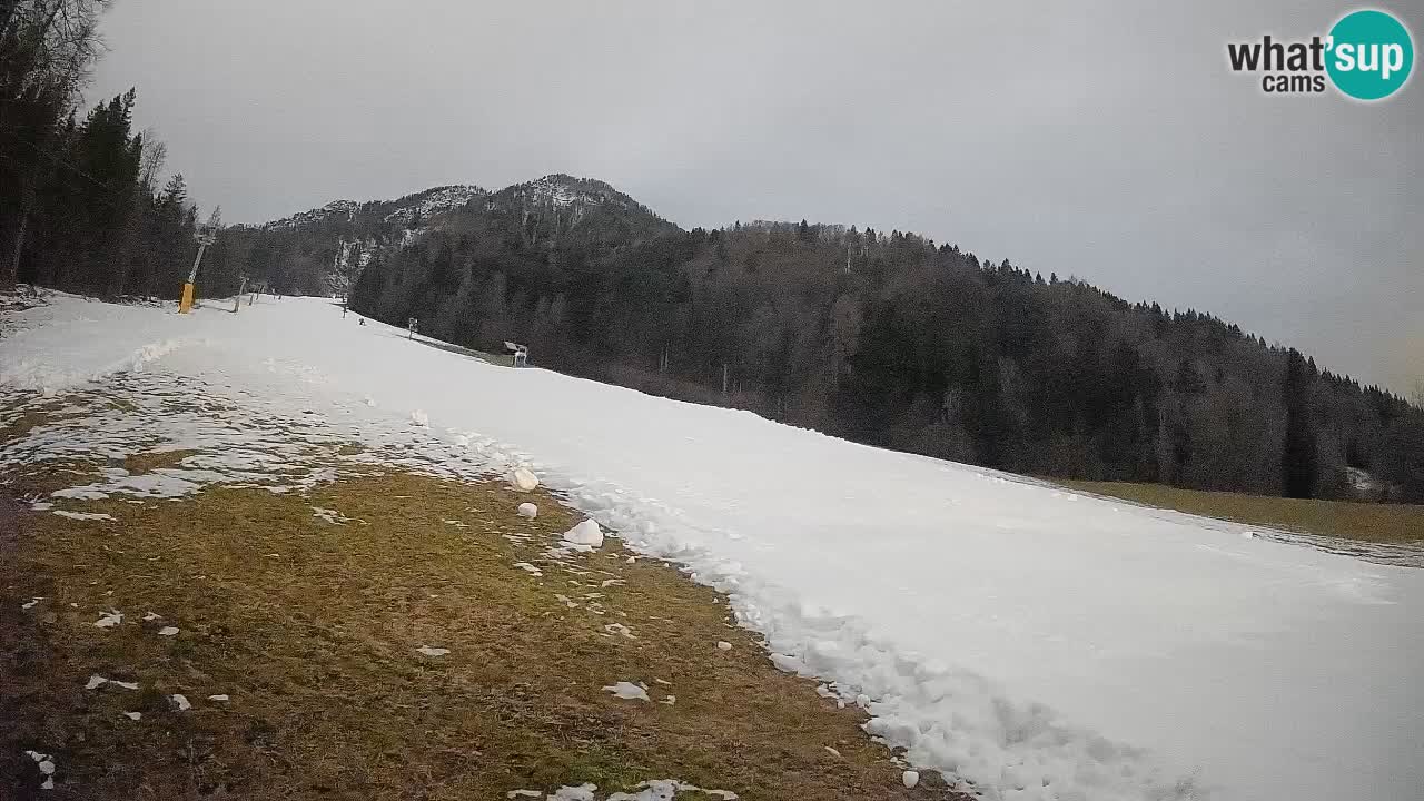 Ski Kranjska Gora | Brsnina