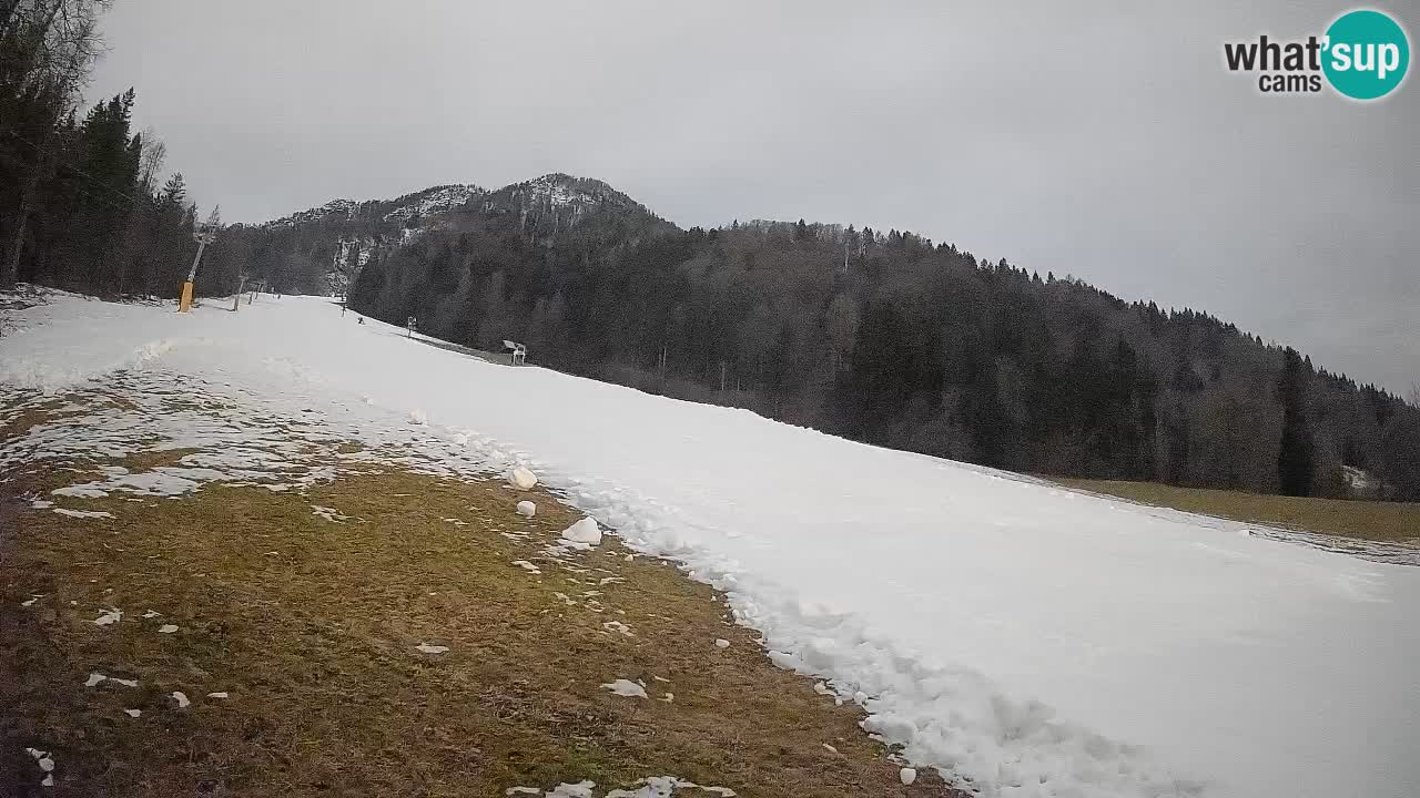 Kranjska Gora SKIJANJE | Brsnina