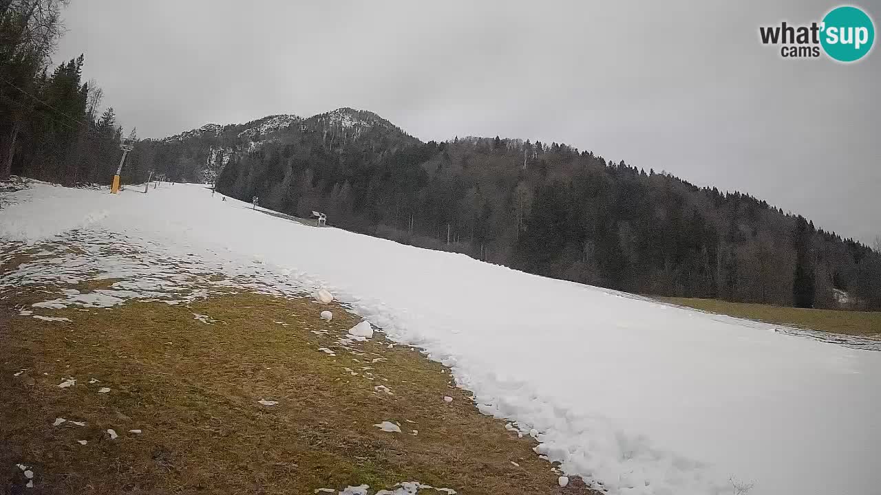 Kranjska Gora Station de ski | Brsnina