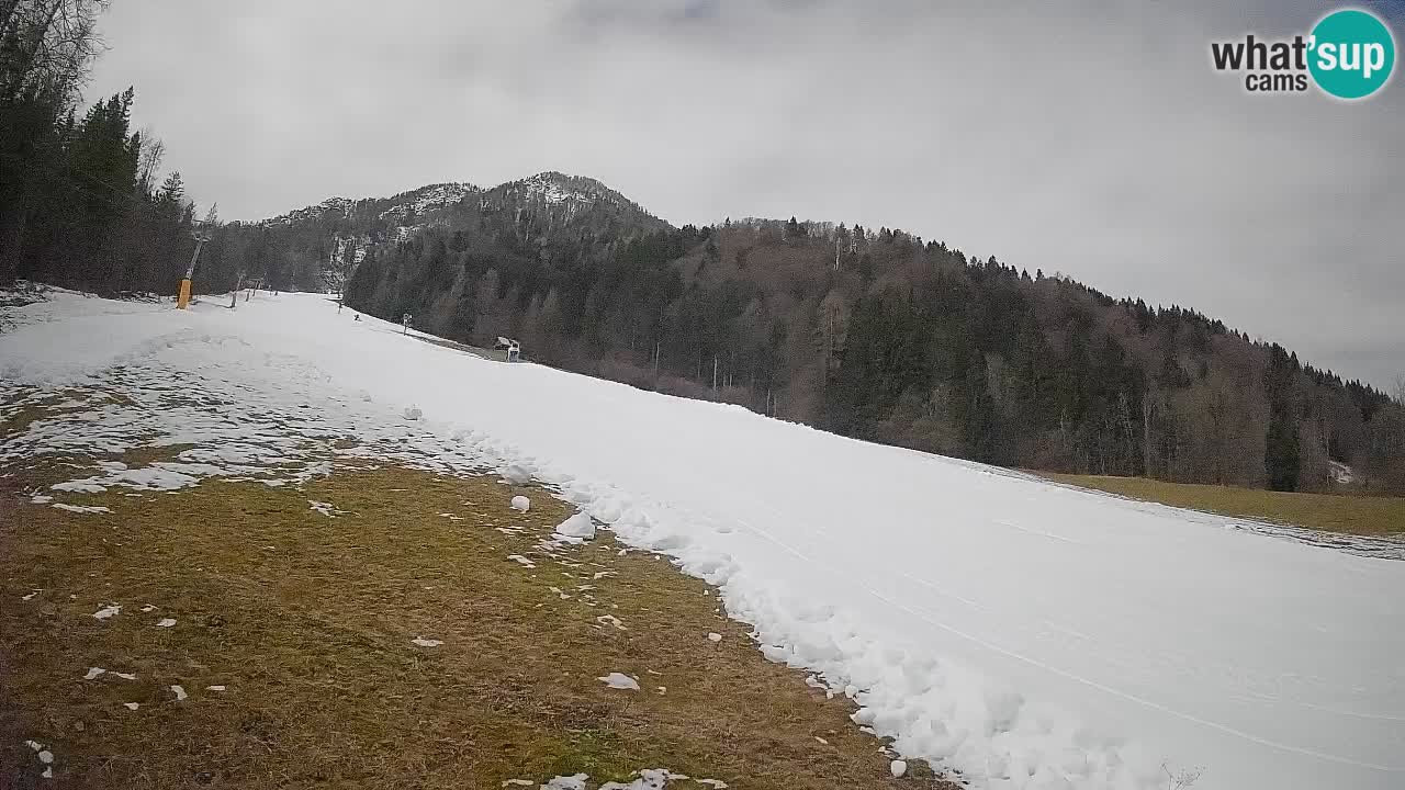 RTC Skigebiet Kranjska Gora | Brsnina