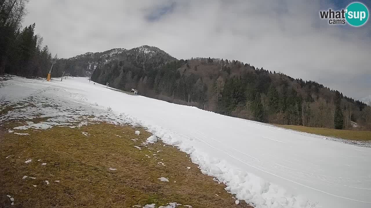 RTC Skigebiet Kranjska Gora | Brsnina