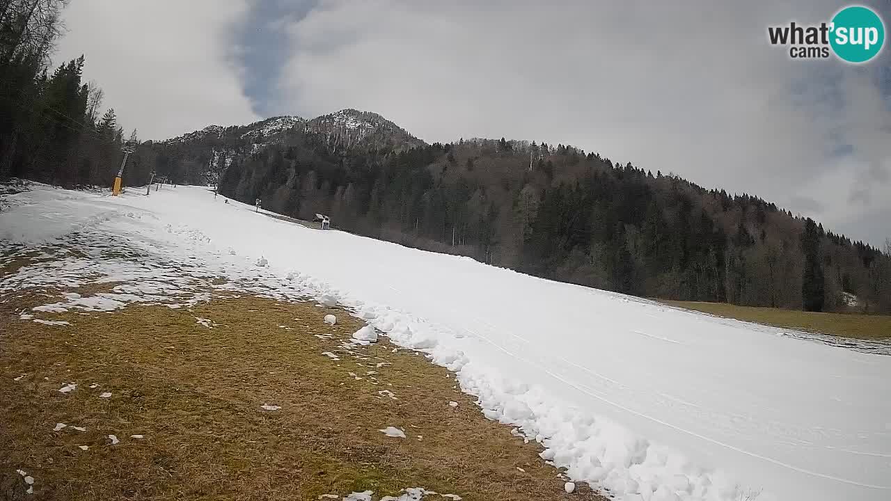 Comprensorio sciistico Kranjska Gora | Brsnina