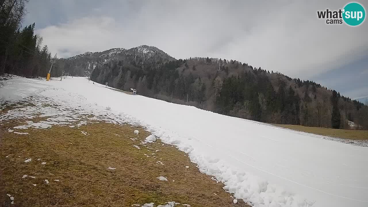 Kranjska Gora Station de ski | Brsnina