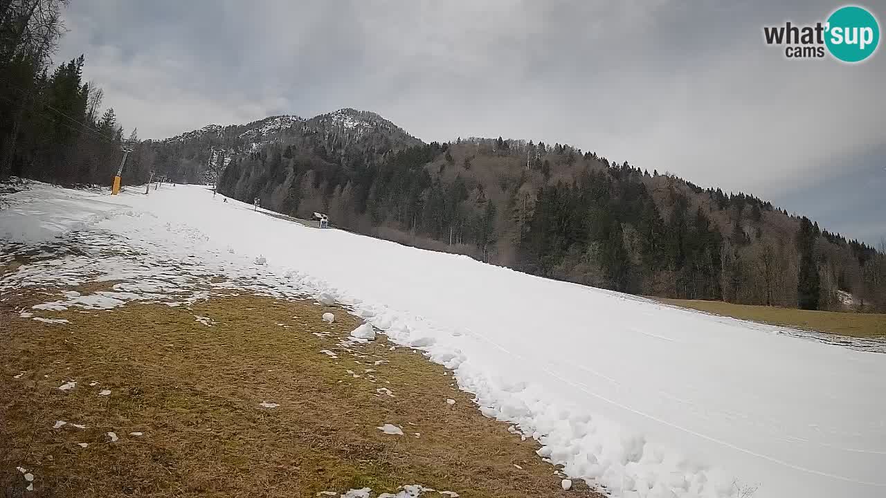 RTC Skigebiet Kranjska Gora | Brsnina