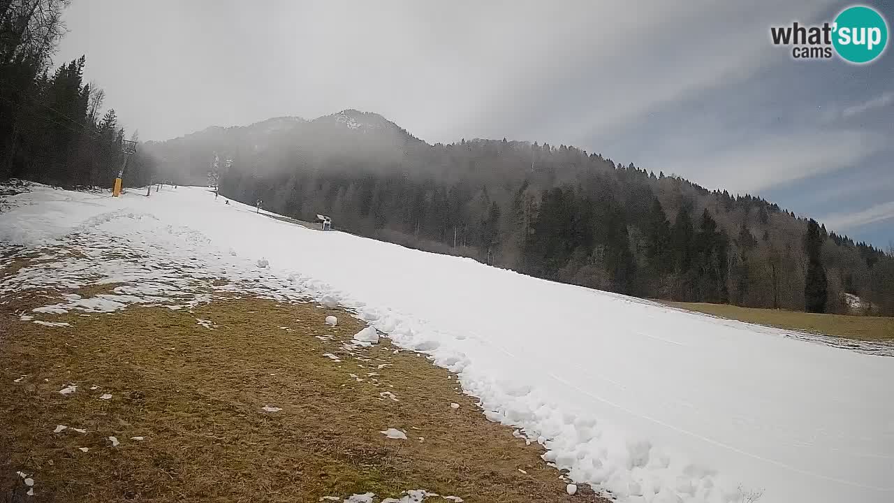 Kranjska Gora Station de ski | Brsnina
