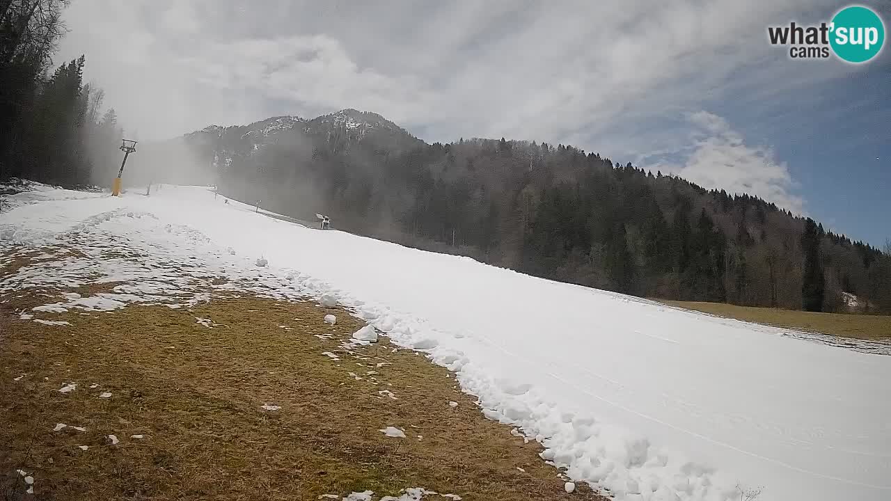 Comprensorio sciistico Kranjska Gora | Brsnina