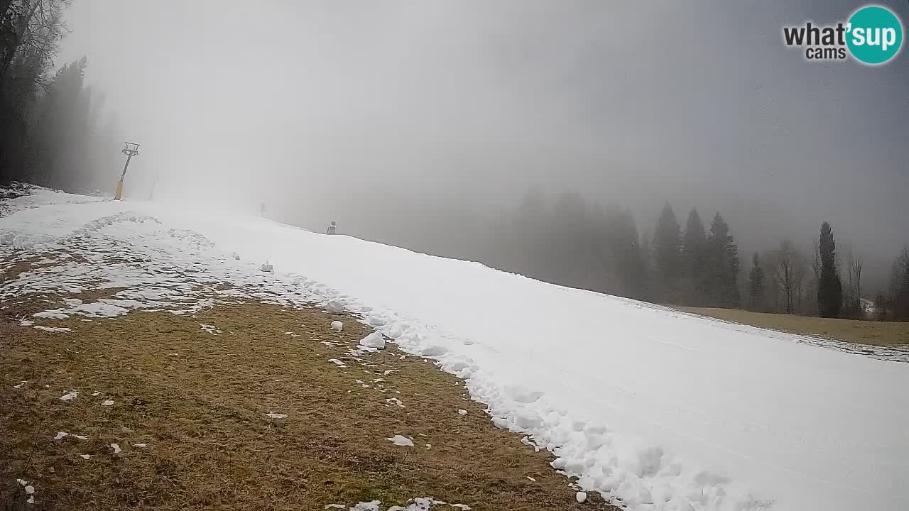 RTC Skigebiet Kranjska Gora | Brsnina