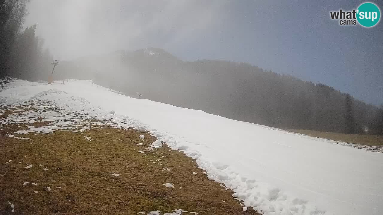 Ski Kranjska Gora | Brsnina