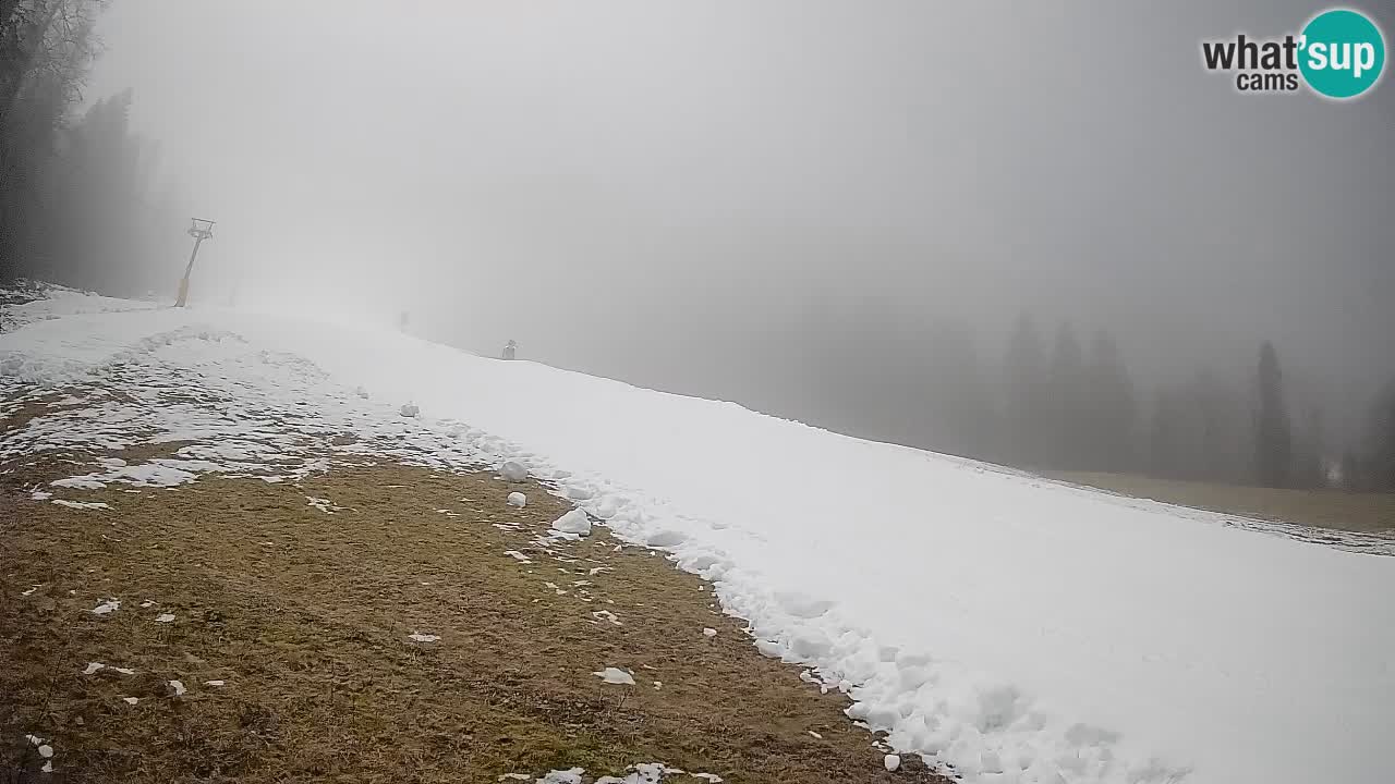 Kranjska Gora Station de ski | Brsnina