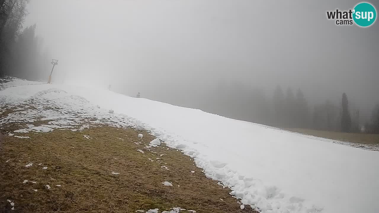 Kranjska Gora Station de ski | Brsnina