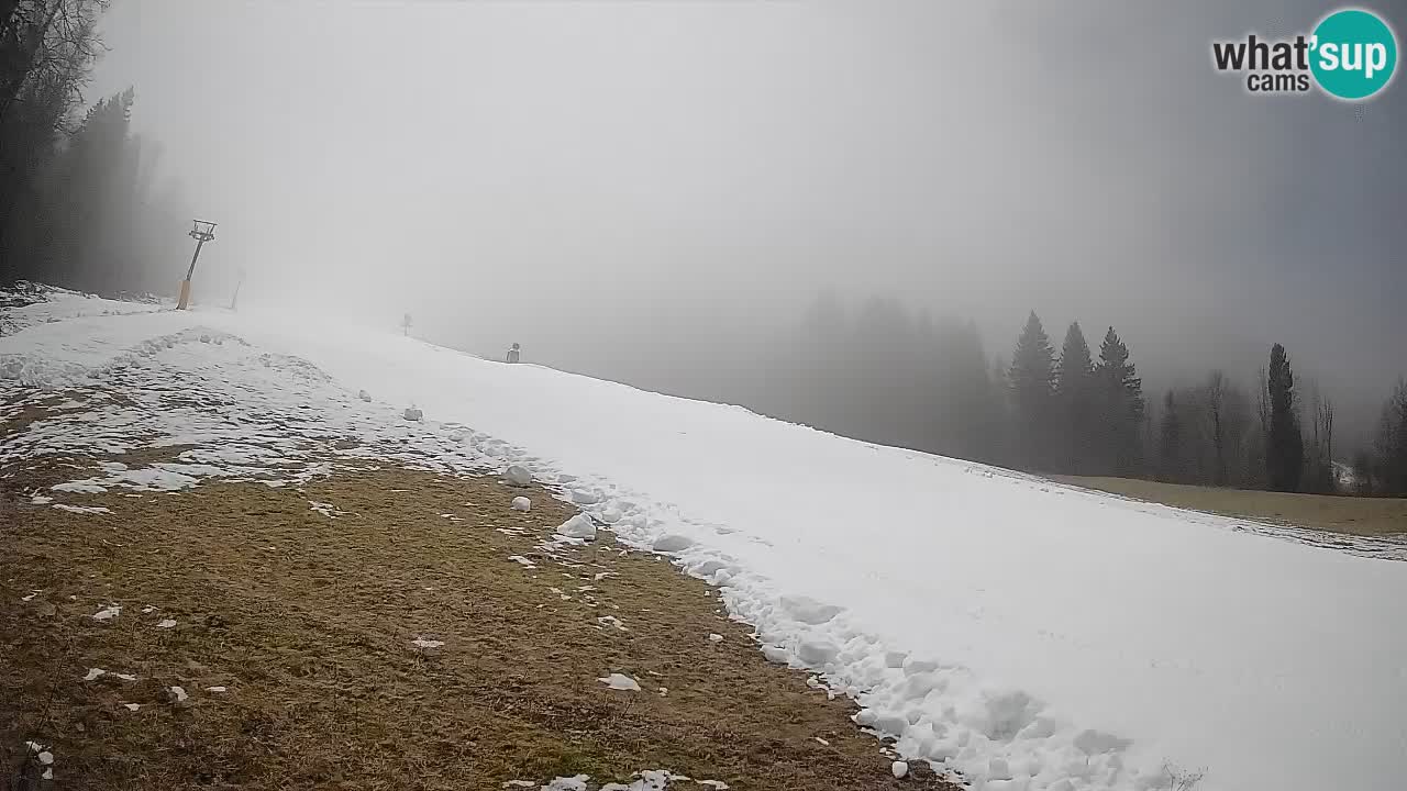 Ski Kranjska Gora | Brsnina