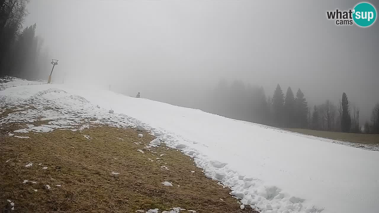 RTC Kranjska Gora | Brsnina