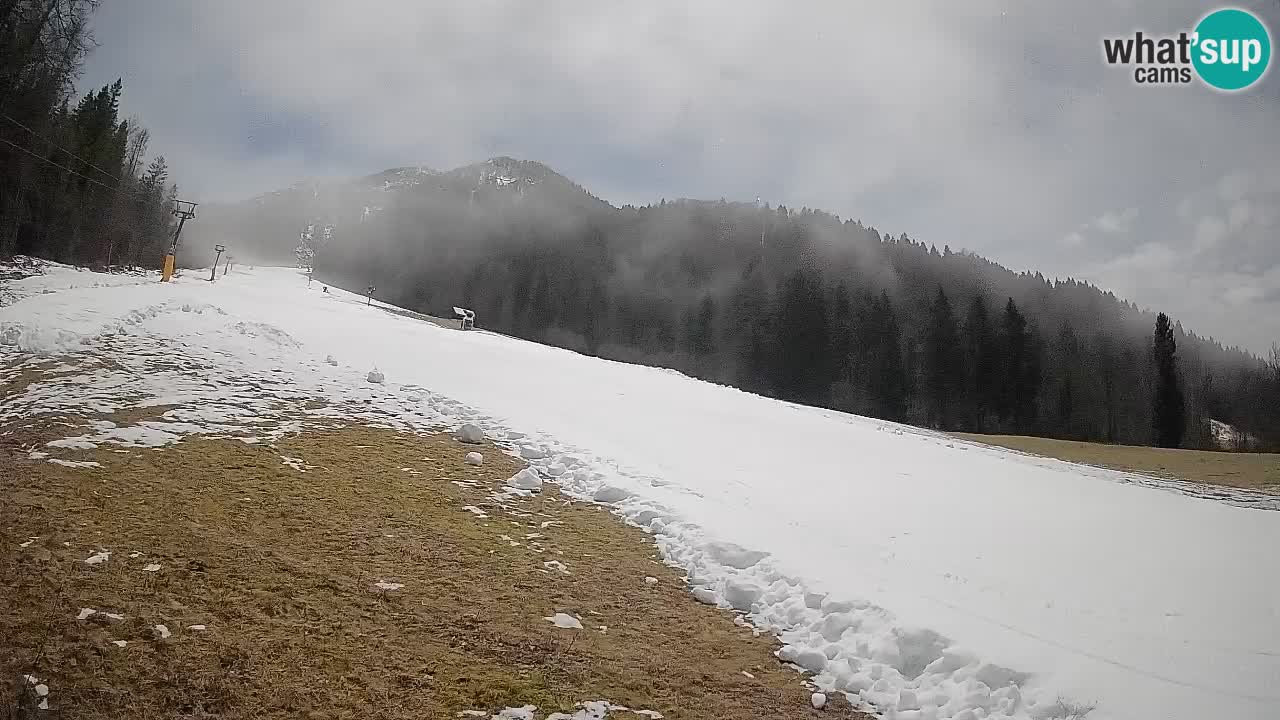 RTC Skigebiet Kranjska Gora | Brsnina