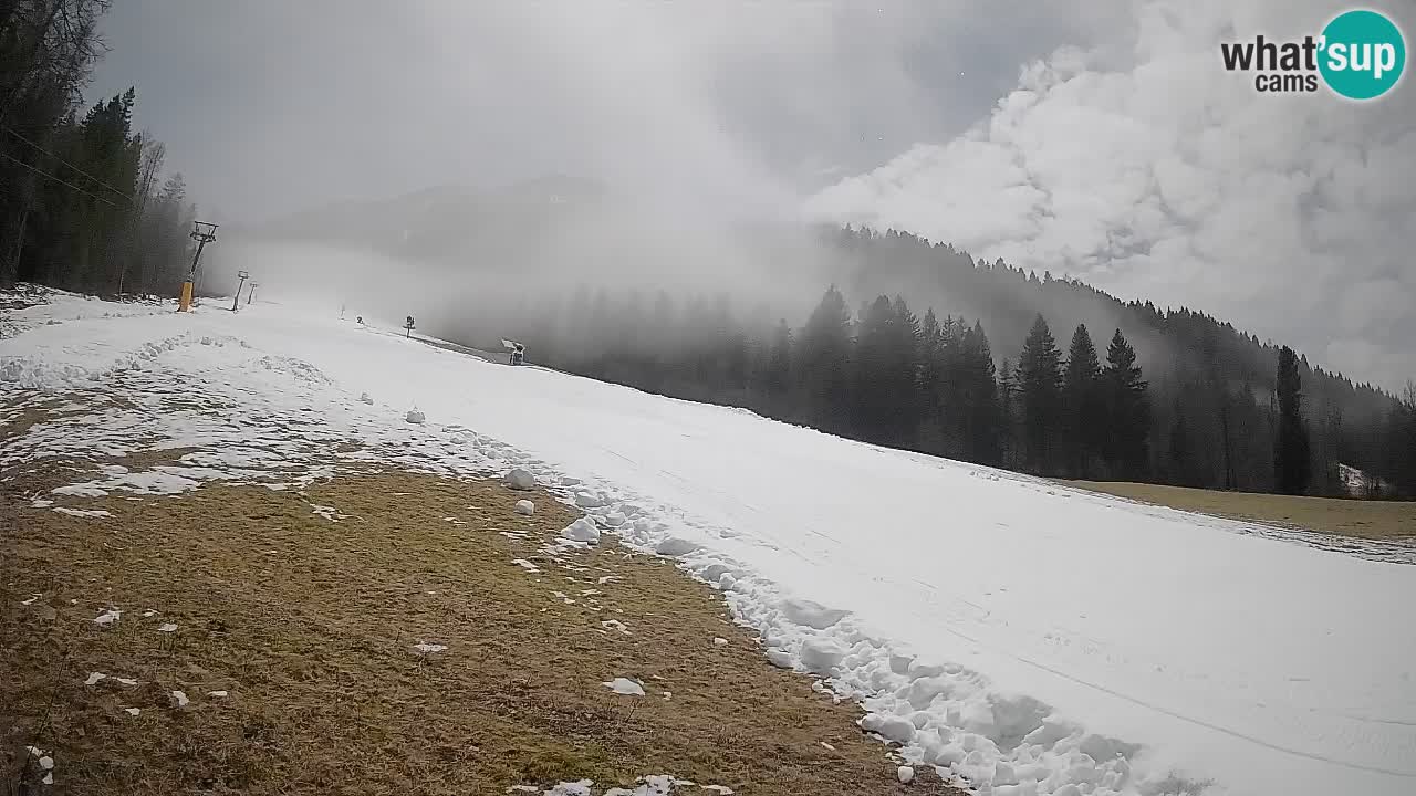 Comprensorio sciistico Kranjska Gora | Brsnina