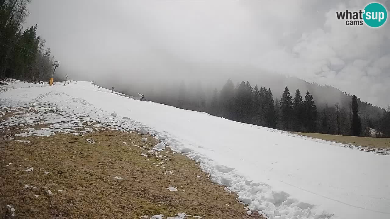 Comprensorio sciistico Kranjska Gora | Brsnina