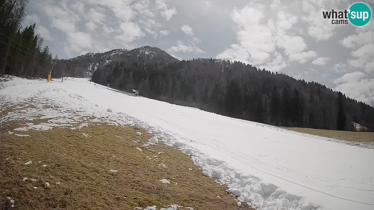 Kranjska Gora Station de ski | Brsnina