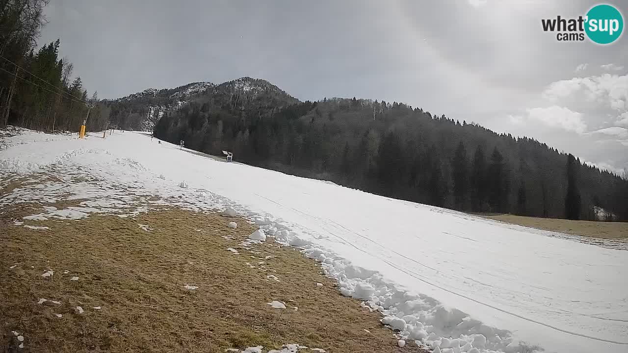 Kranjska Gora SKIJANJE | Brsnina