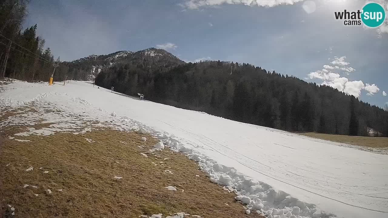 Esquí Kranjska Gora | Brsnina