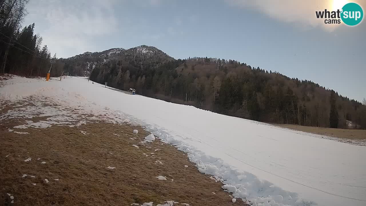 Esquí Kranjska Gora | Brsnina