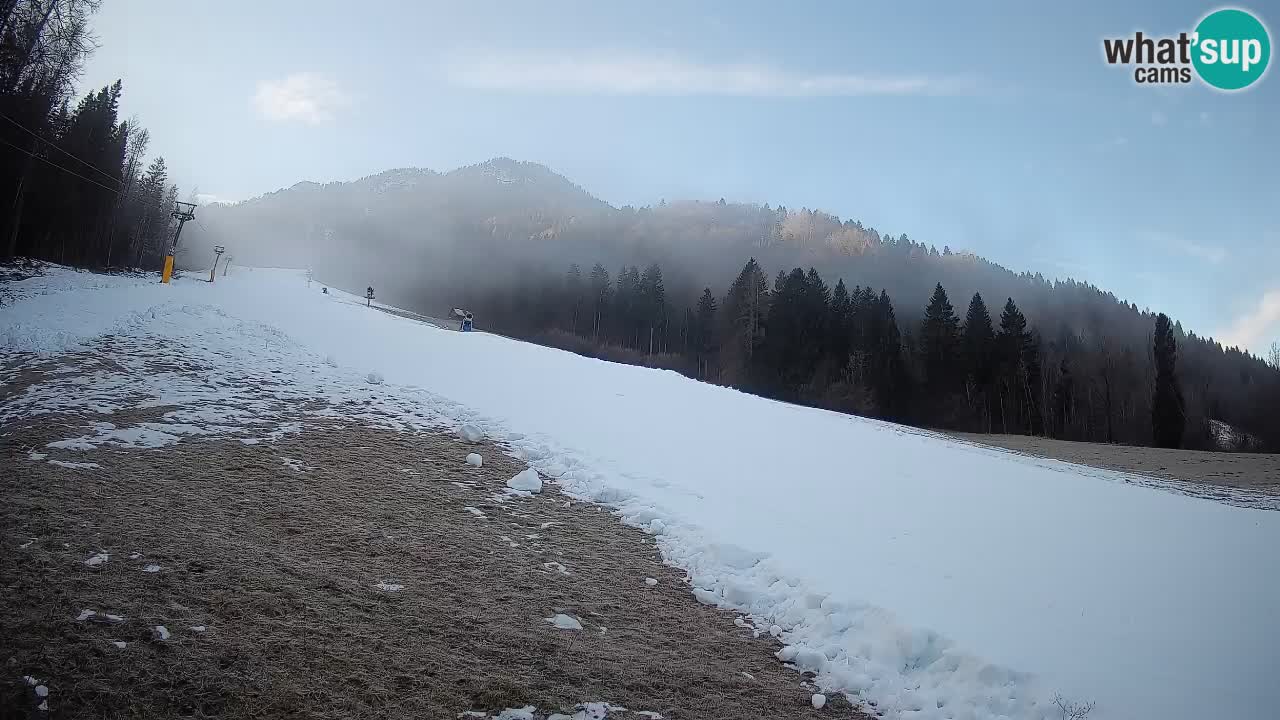 Ski Kranjska Gora | Brsnina