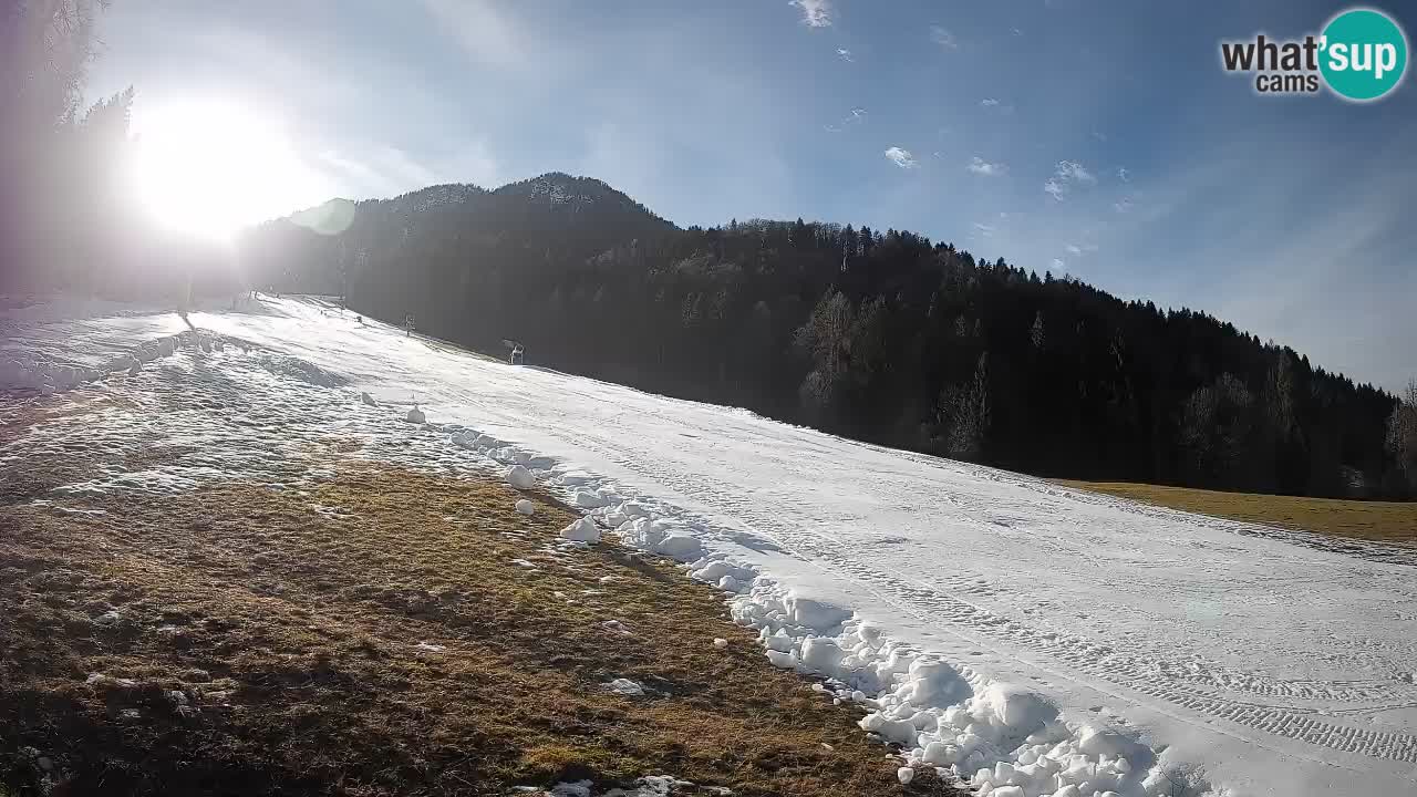 Ski Kranjska Gora | Brsnina