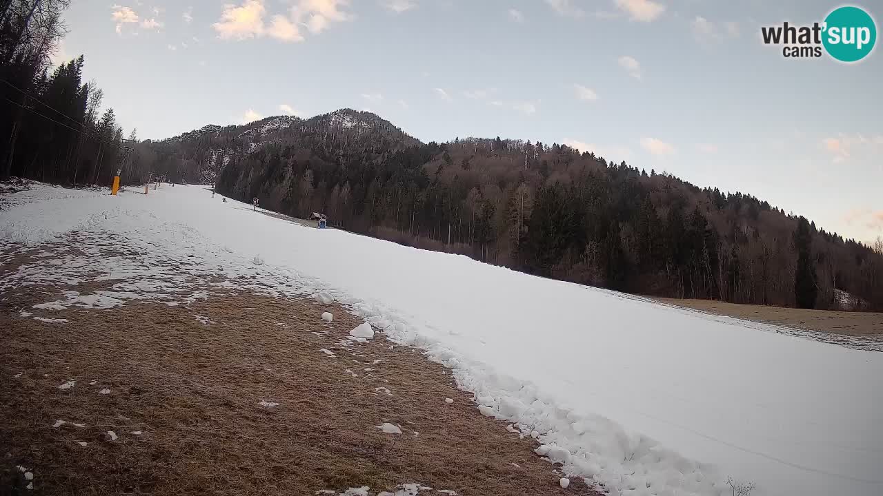 Kranjska Gora Station de ski | Brsnina