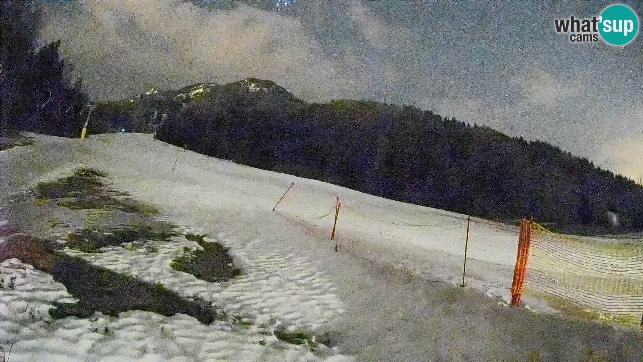 Ski Kranjska Gora | Brsnina