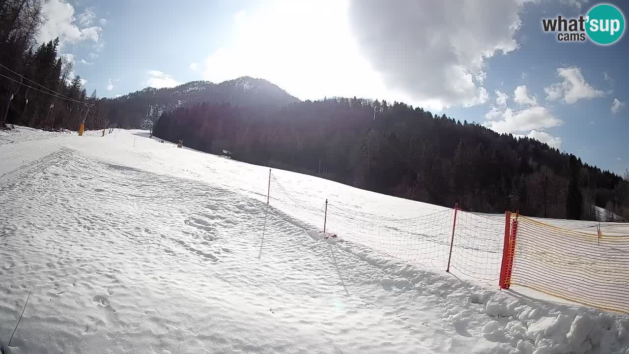 RTC Skigebiet Kranjska Gora | Brsnina