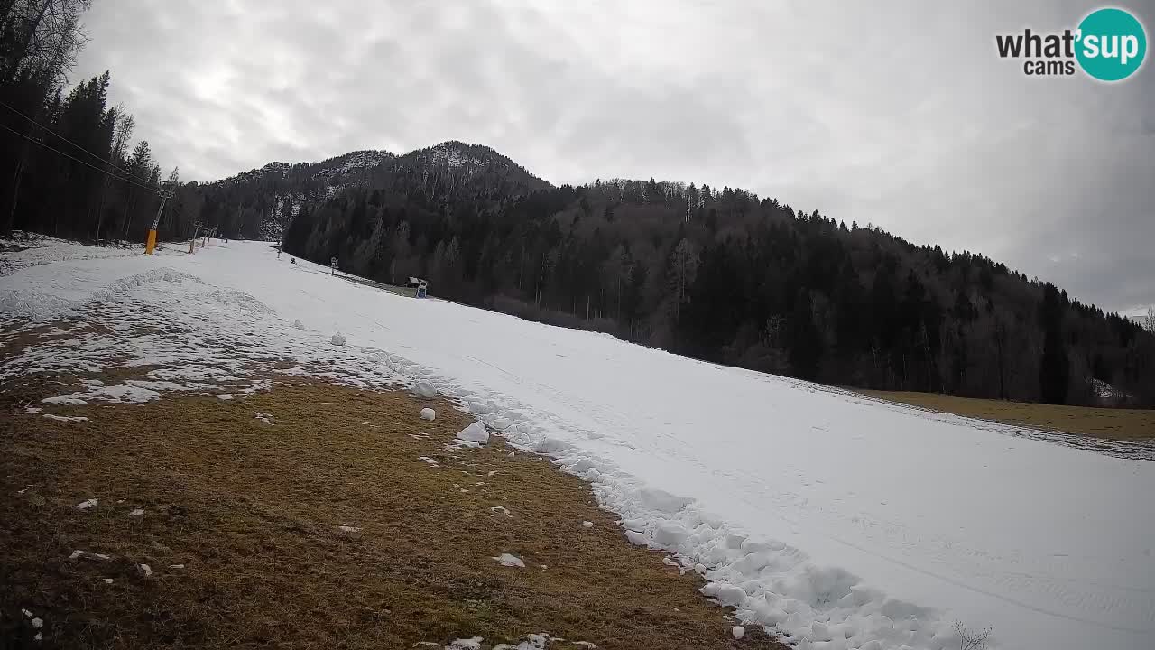 Kranjska Gora SKIJANJE | Brsnina