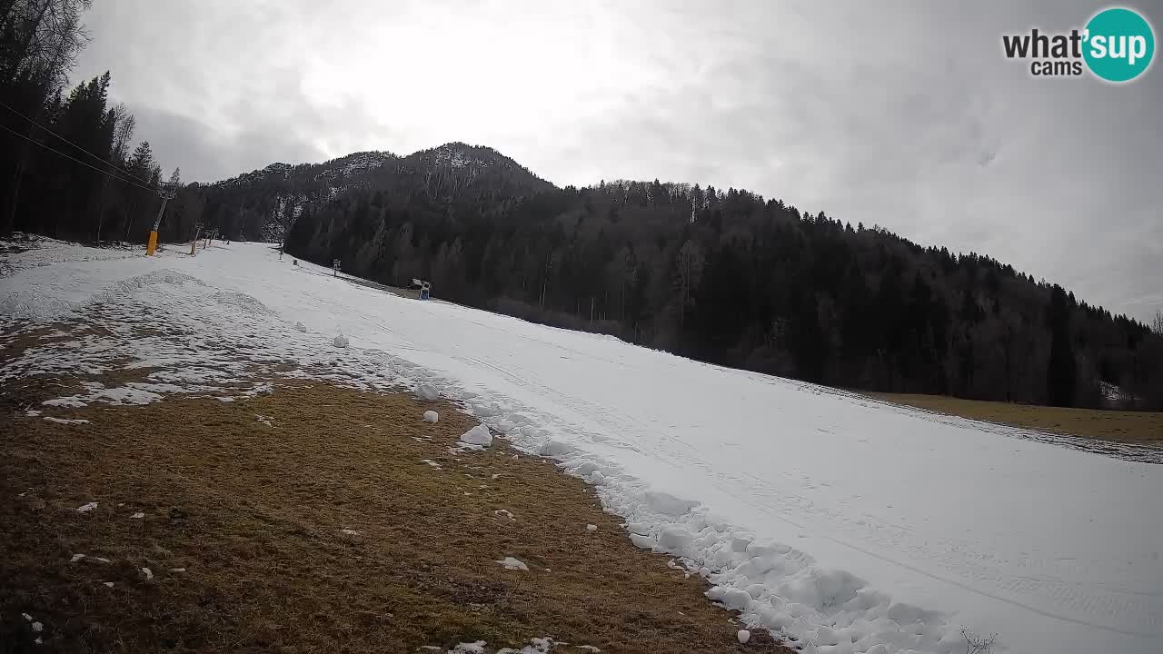 Ski Kranjska Gora | Brsnina