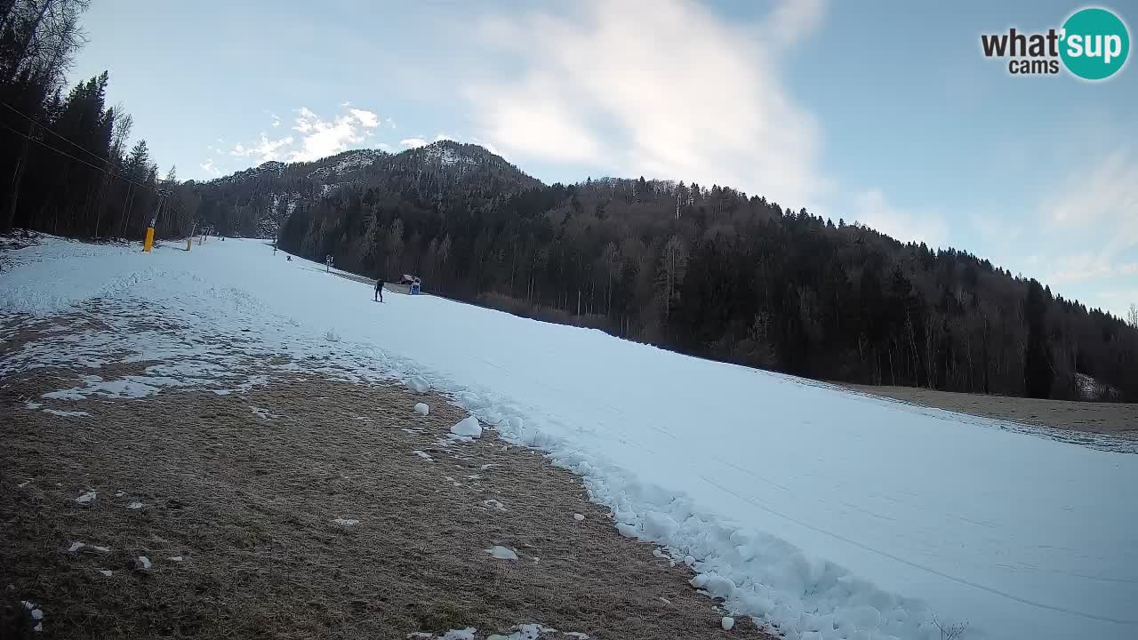 Ski Kranjska Gora | Brsnina