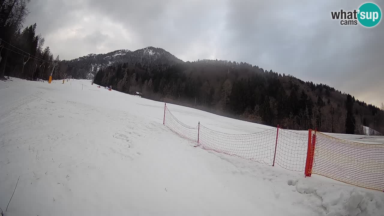 Ski Kranjska Gora | Brsnina