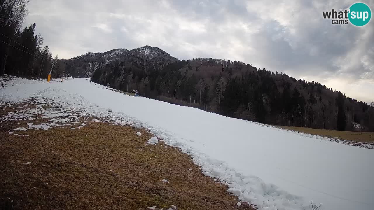 RTC Kranjska Gora | Brsnina