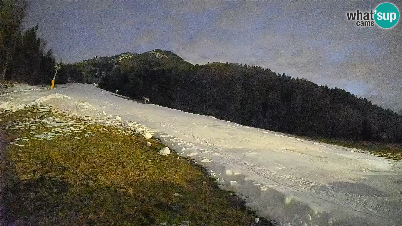RTC Skigebiet Kranjska Gora | Brsnina