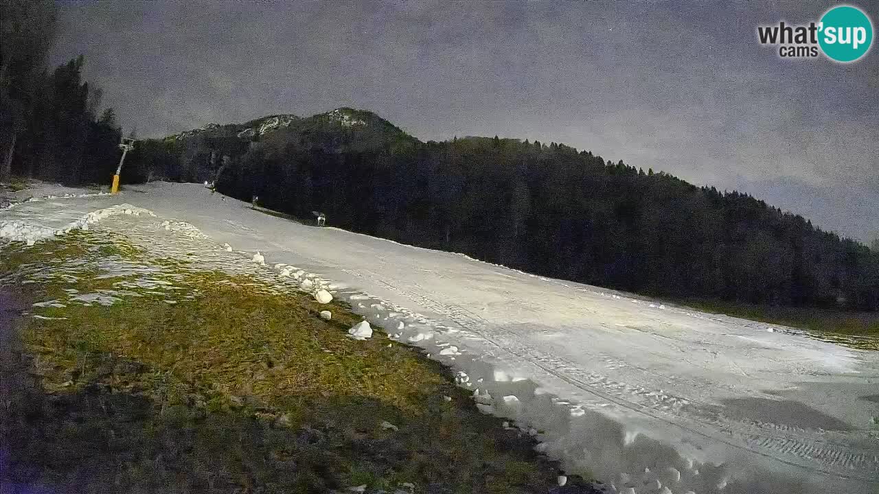 Kranjska Gora Station de ski | Brsnina