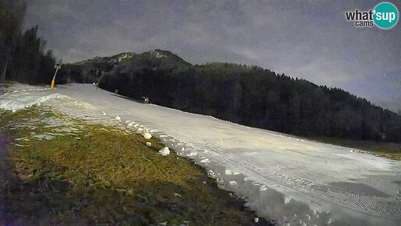 Comprensorio sciistico Kranjska Gora | Brsnina