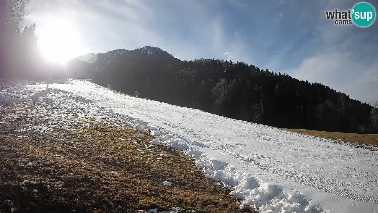 Kranjska Gora SKIJANJE | Brsnina