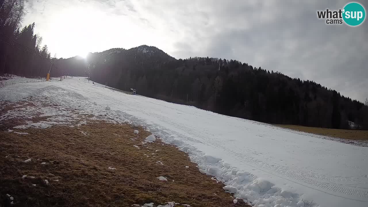 Ski Kranjska Gora | Brsnina