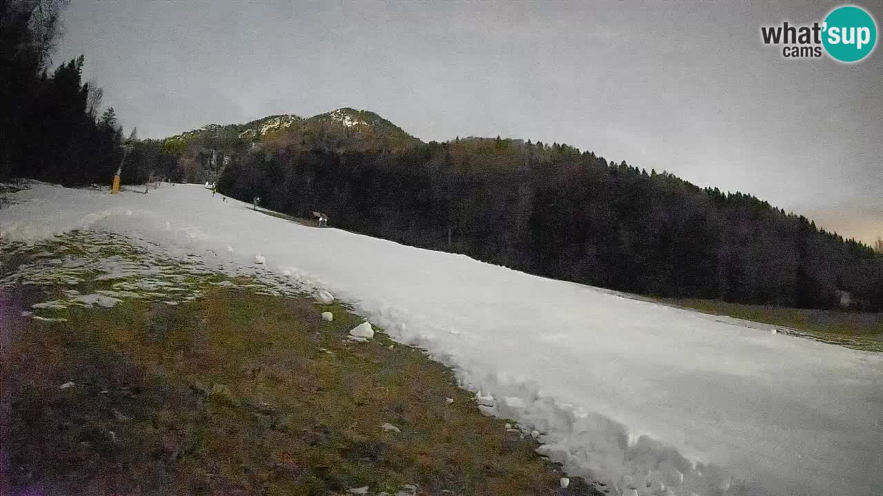 Ski Kranjska Gora | Brsnina